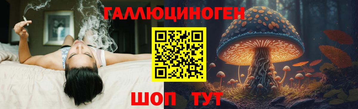 Псилоцибиновые грибы Psilocybine cubensis  Вход с VPN  Сатка 